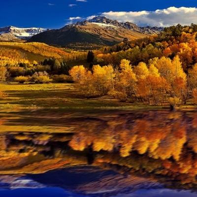 江南足球app下载截图