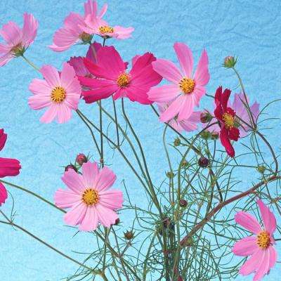 任你博手机app下载